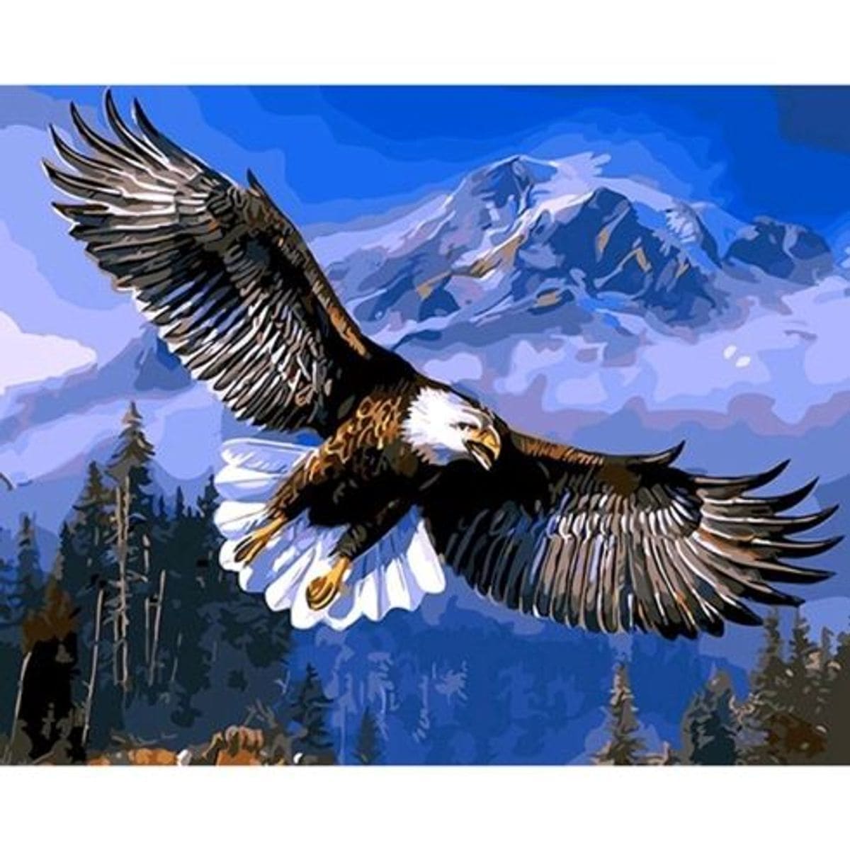 vẻ đẹp Tranh Sơn Dầu Số Hóa